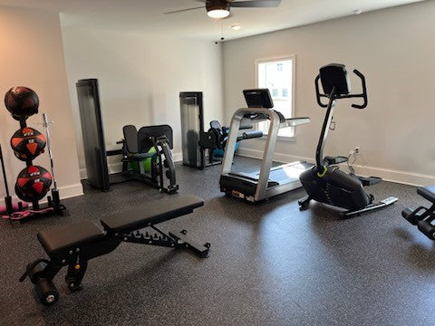 Basement Home Gym