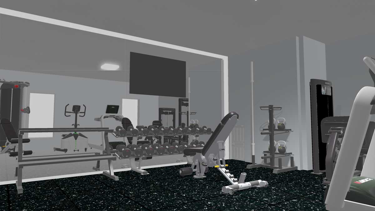 Basement Home Gym