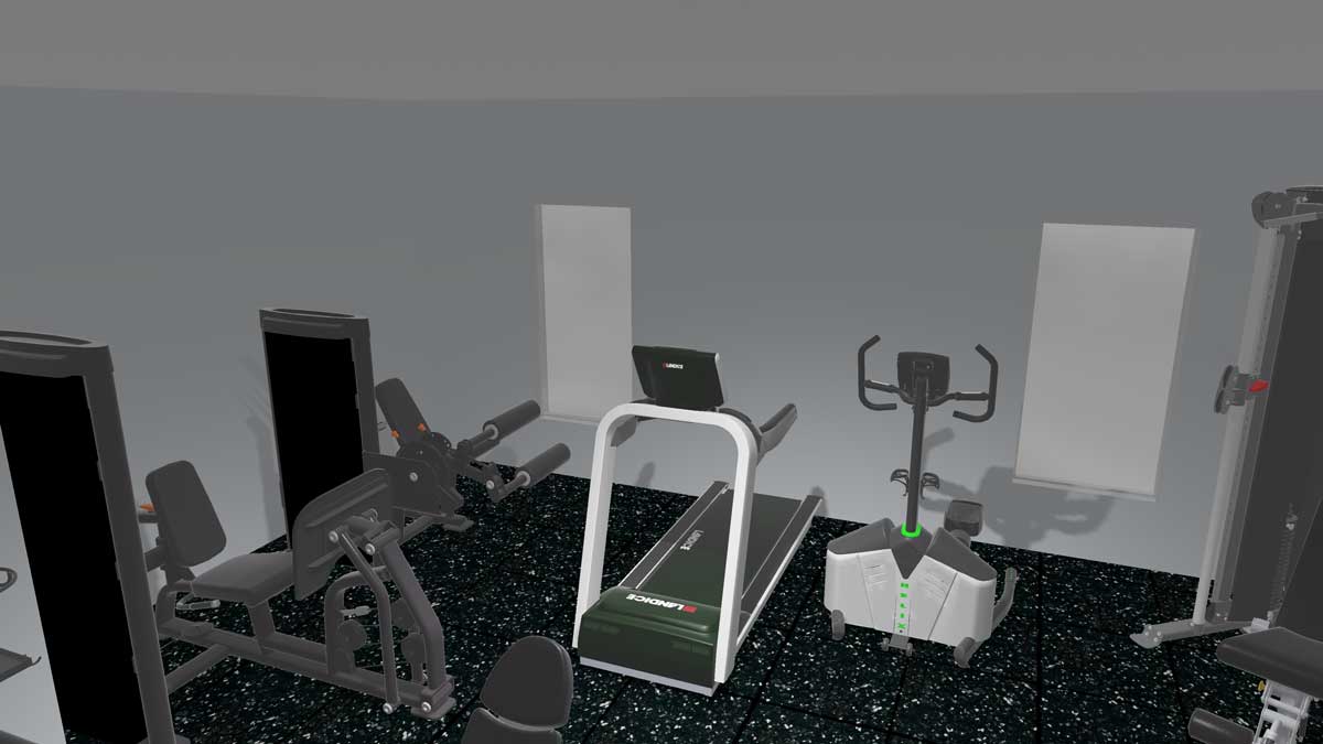 Basement Home Gym