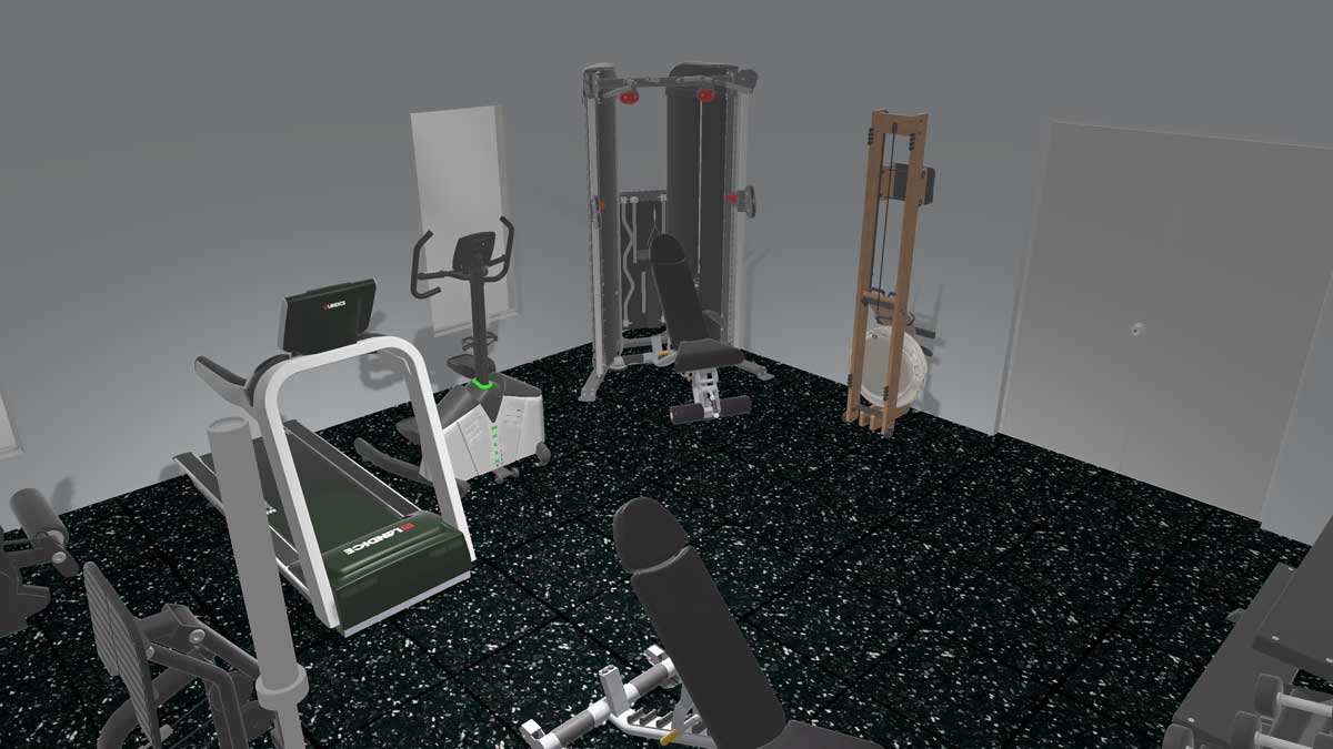 Basement Home Gym