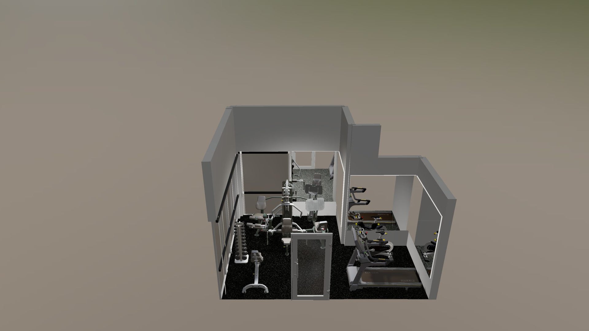 Personal Gym in a New Home