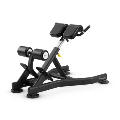 Vision Fitness Back Extension Bench VST700-FW52